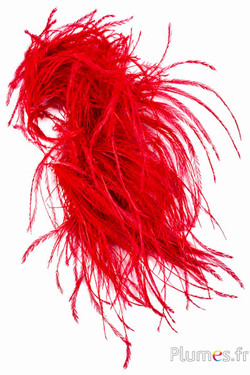 Struisvogel lont zonder hart - 10 cm - donkerrood
